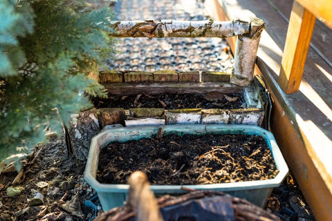 Benefits of starting a compost pile at home