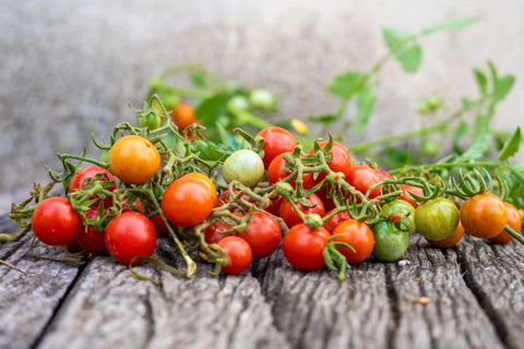 Salads Beyond Lettuce