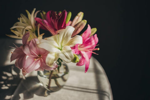 Flower Arrangement Tips with Asiatic Lilies