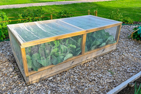 Build a Mini Greenhouse