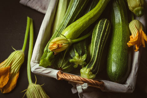 Harvesting Zucchini