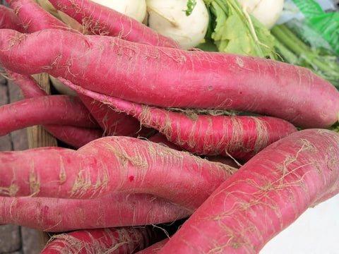 Radish Full Red