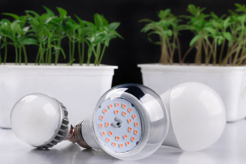 Types of Grow Light Explained