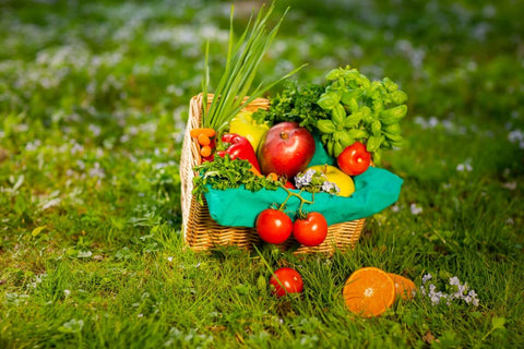 Best Vegetables and herbs to grow in North-Eastern States in India