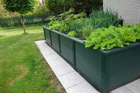 Raised Bed Garden