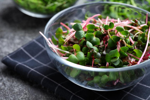 Microgreen Raita Recipe: A Taste of Homegrown Freshness