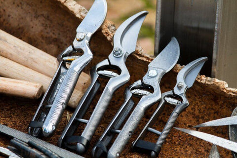 Tools for pruning