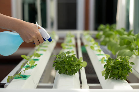 What Is A Hydroponic System?