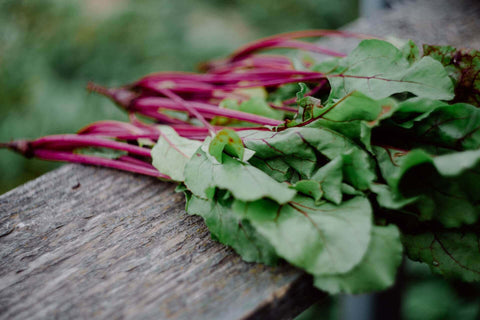 What to grow in autumn vegetable garden