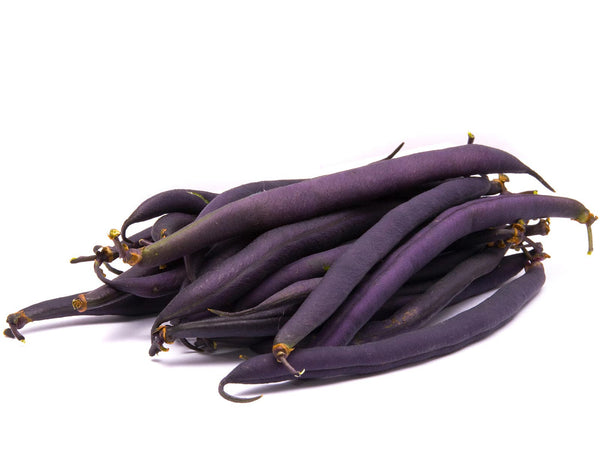 magic purple beans