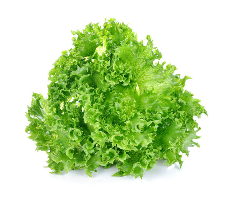 Buy Lettuce Grand Rapids Seeds