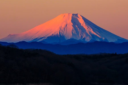 red fuji