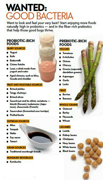 TTN Palawan Inc -- Good bacteria sources 