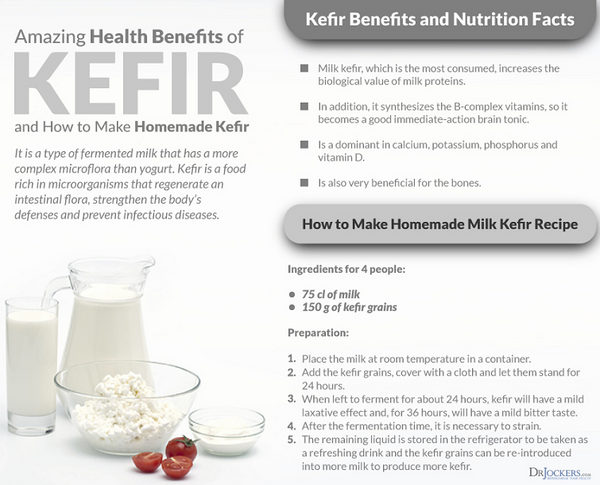 Kefir: 7 Health Benefits & How to Make (Milk & Water Kefir) - Tua Saúde