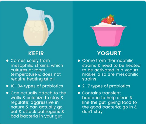 Difference Kefir-Yogurt