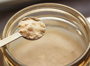 Kefir powder starter