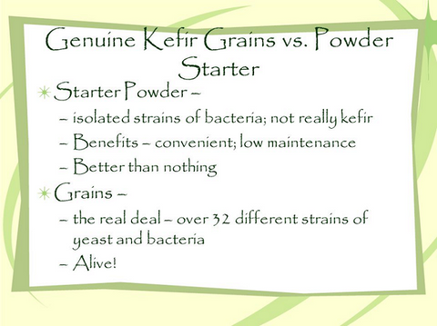 Kefir Grains or Kefir Powdered Culture