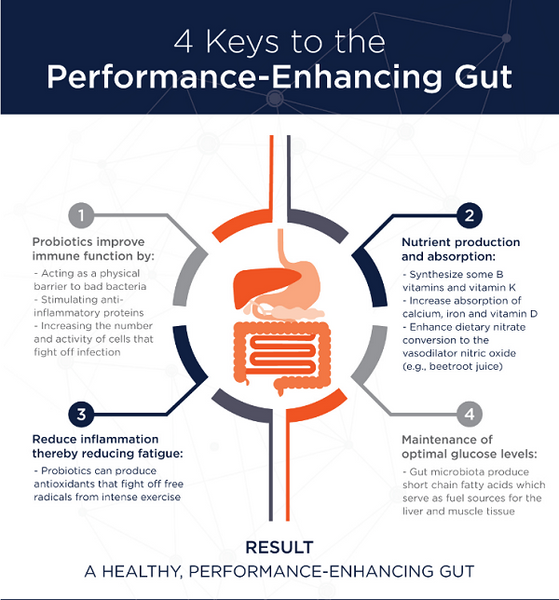TTN Palawan Inc -- Probiotics for Performance-Enhancing Gut