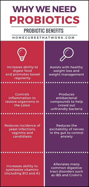 TTN Palawan Inc -- Why We Need Probiotics