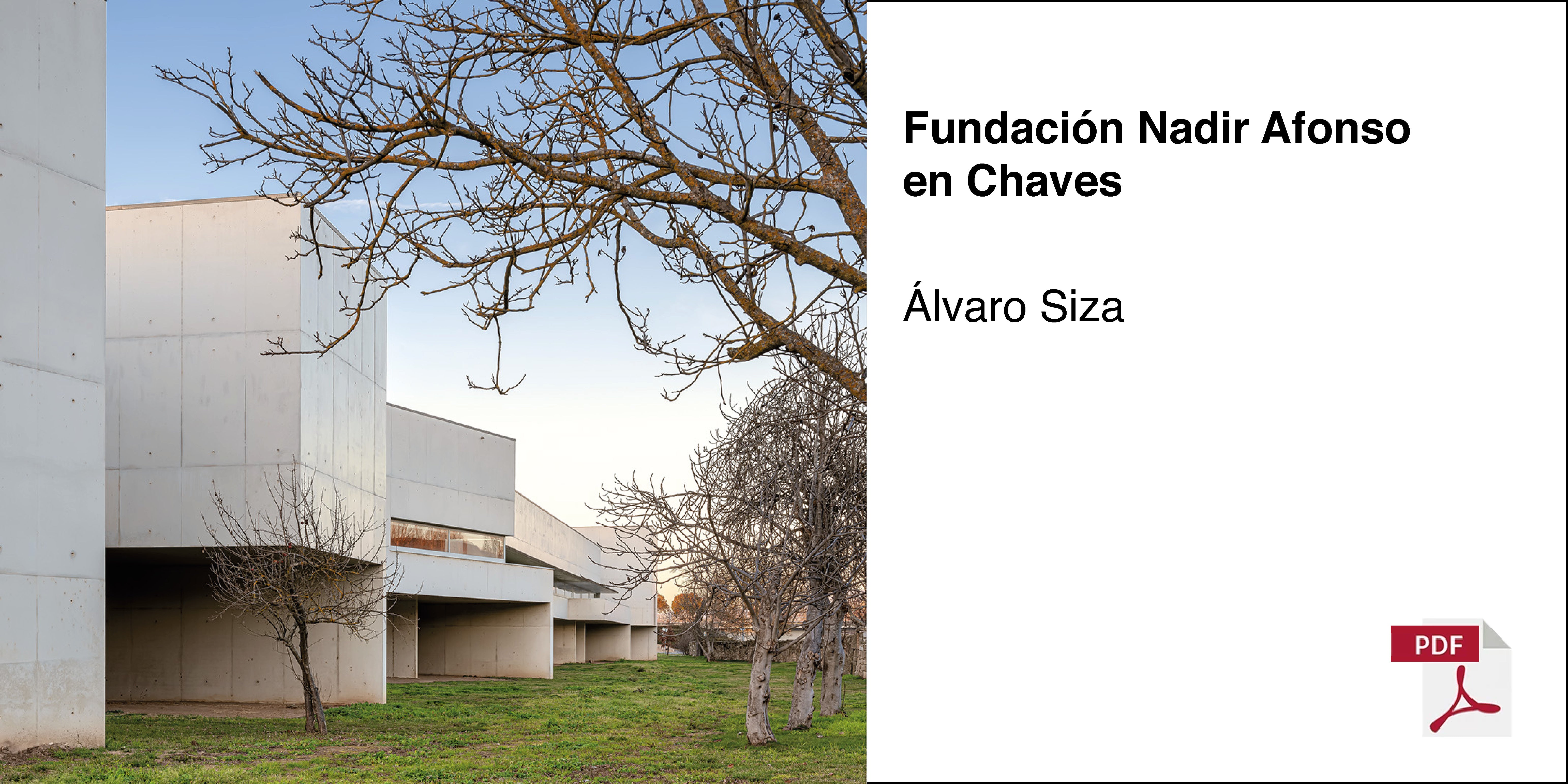 Siza_Nadir Afonso Foundation_CR215