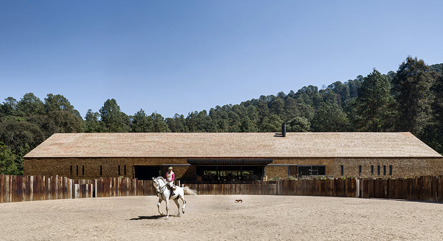 Proyecto Ecuestre de Manuel Cervantes