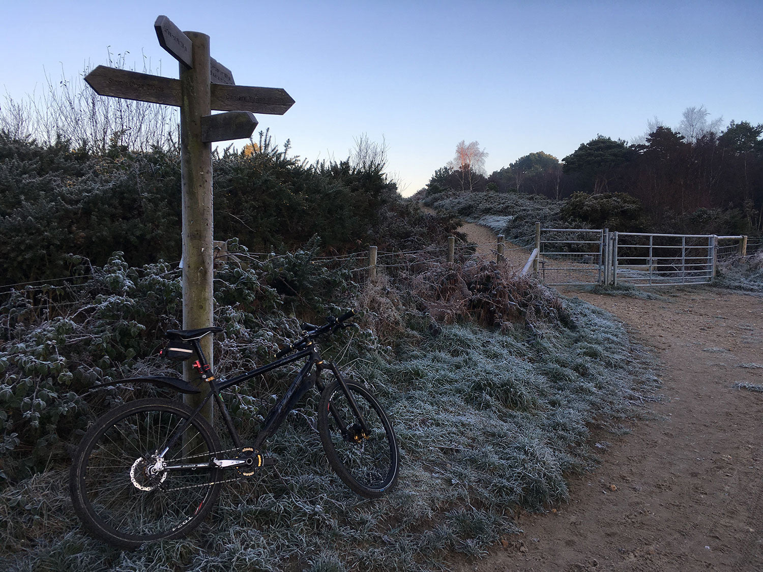 Between Christmas and New Year with some more relaxed start times I often add in an extra 30 minutes to encompass some extra miles - this is taken over Canford Heath - part of the Bourne Valley Greenway.