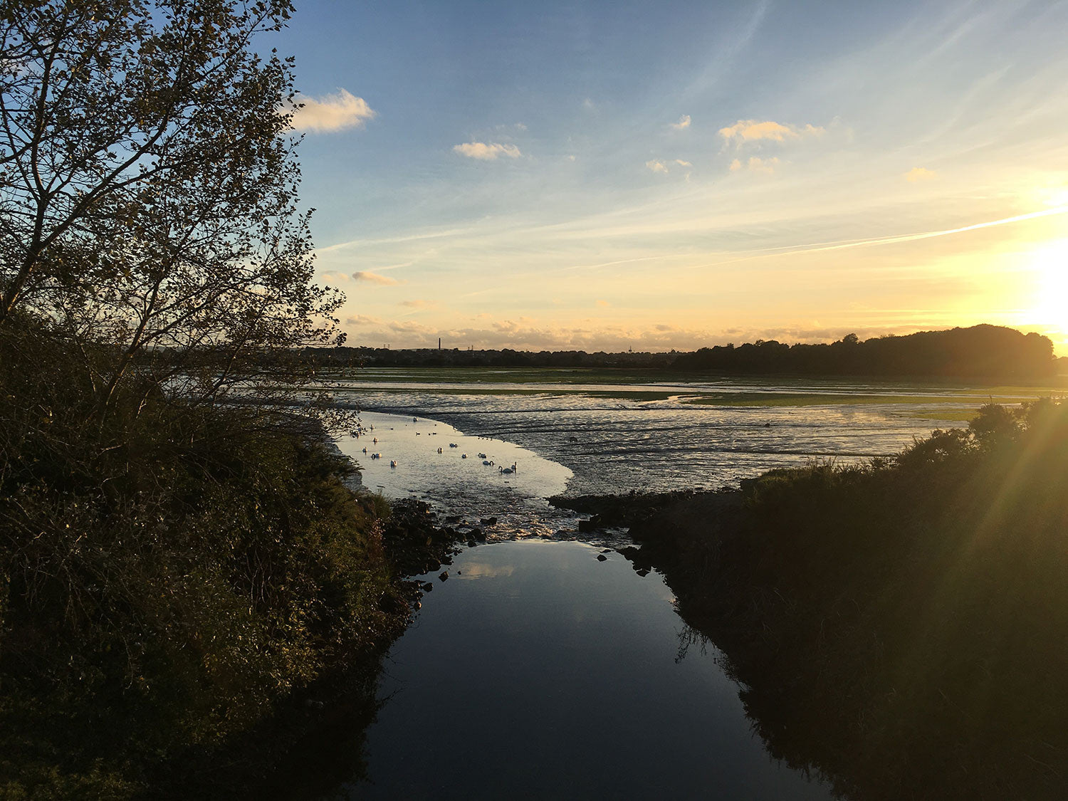 The Holes Bay Nature Park provides some stunning backdrops on the way home during Autumn.