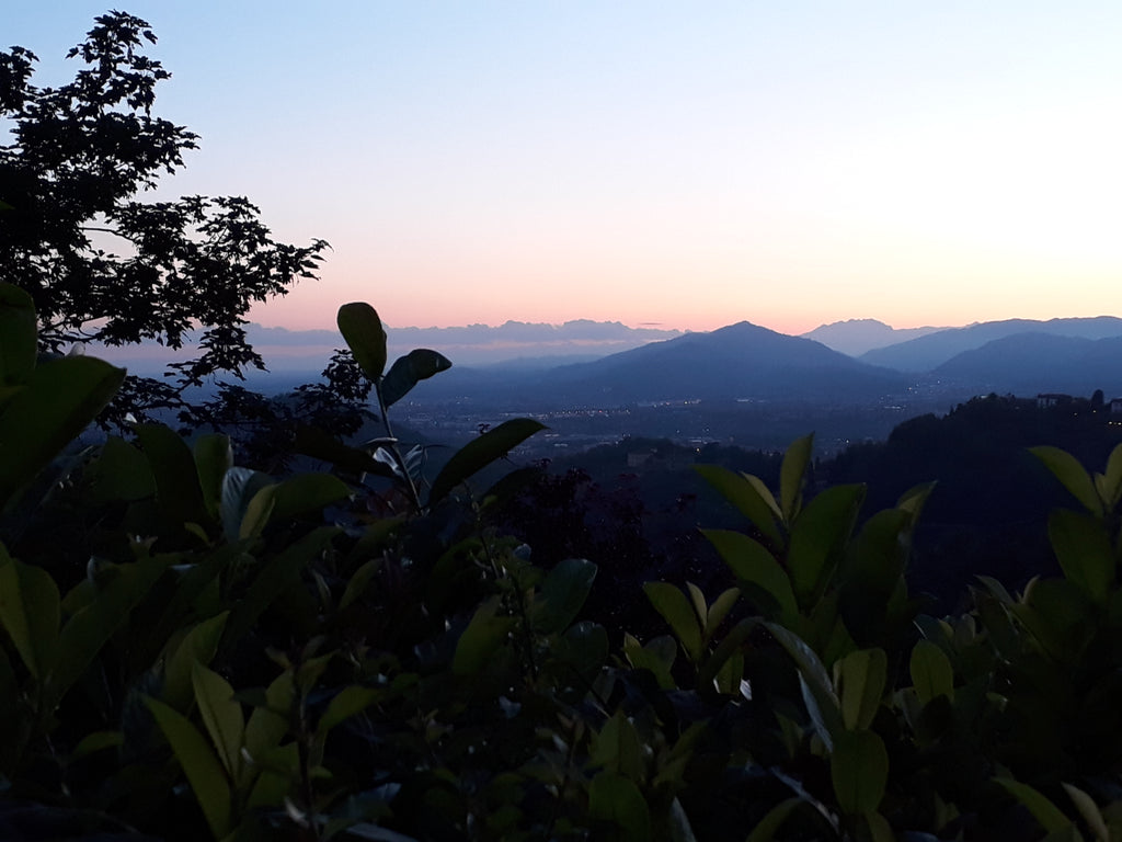 The stunning view whilst enjoying dinner at the San Vigilio restaurant