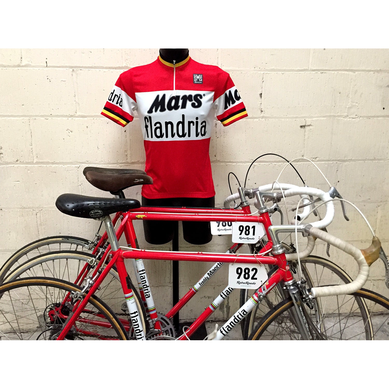 flandria cycling jersey