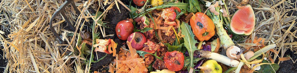 home composting zero waste
