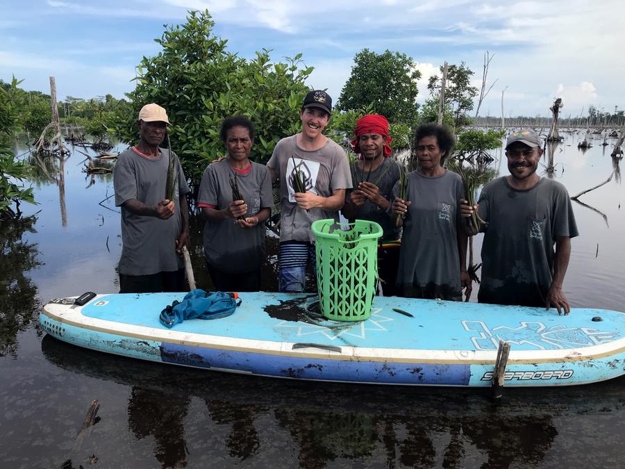 sea trees indonesia mangrove restoration blue carbon project