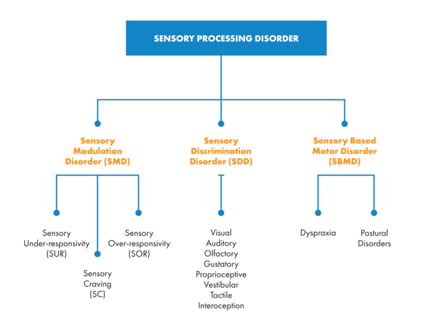 sensory types chart