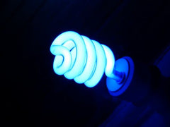 fluorescent lighting can impact visual sensitivity