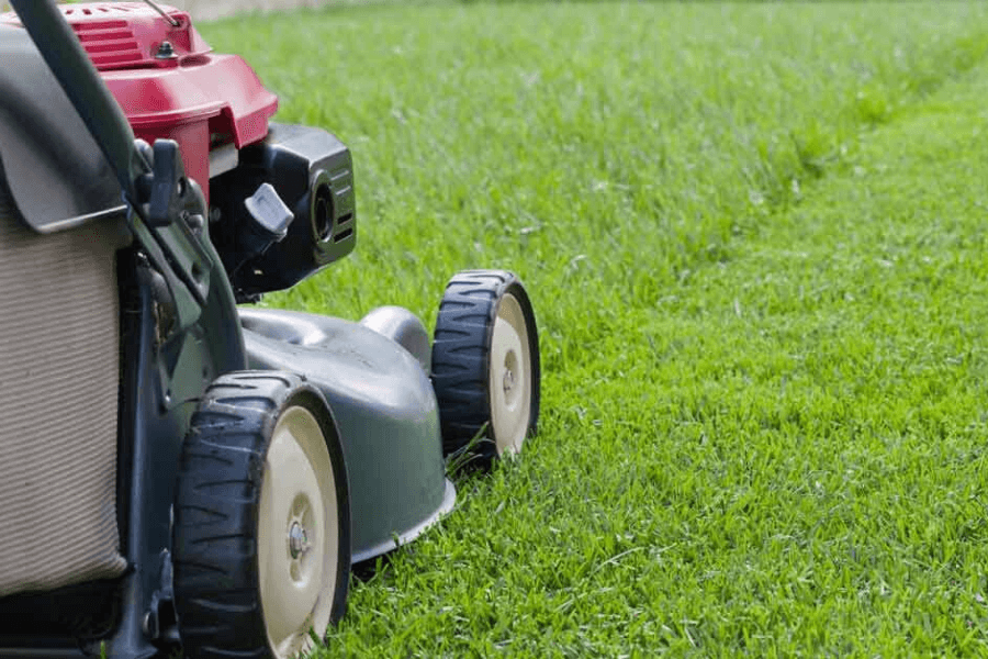 Mowing lawn