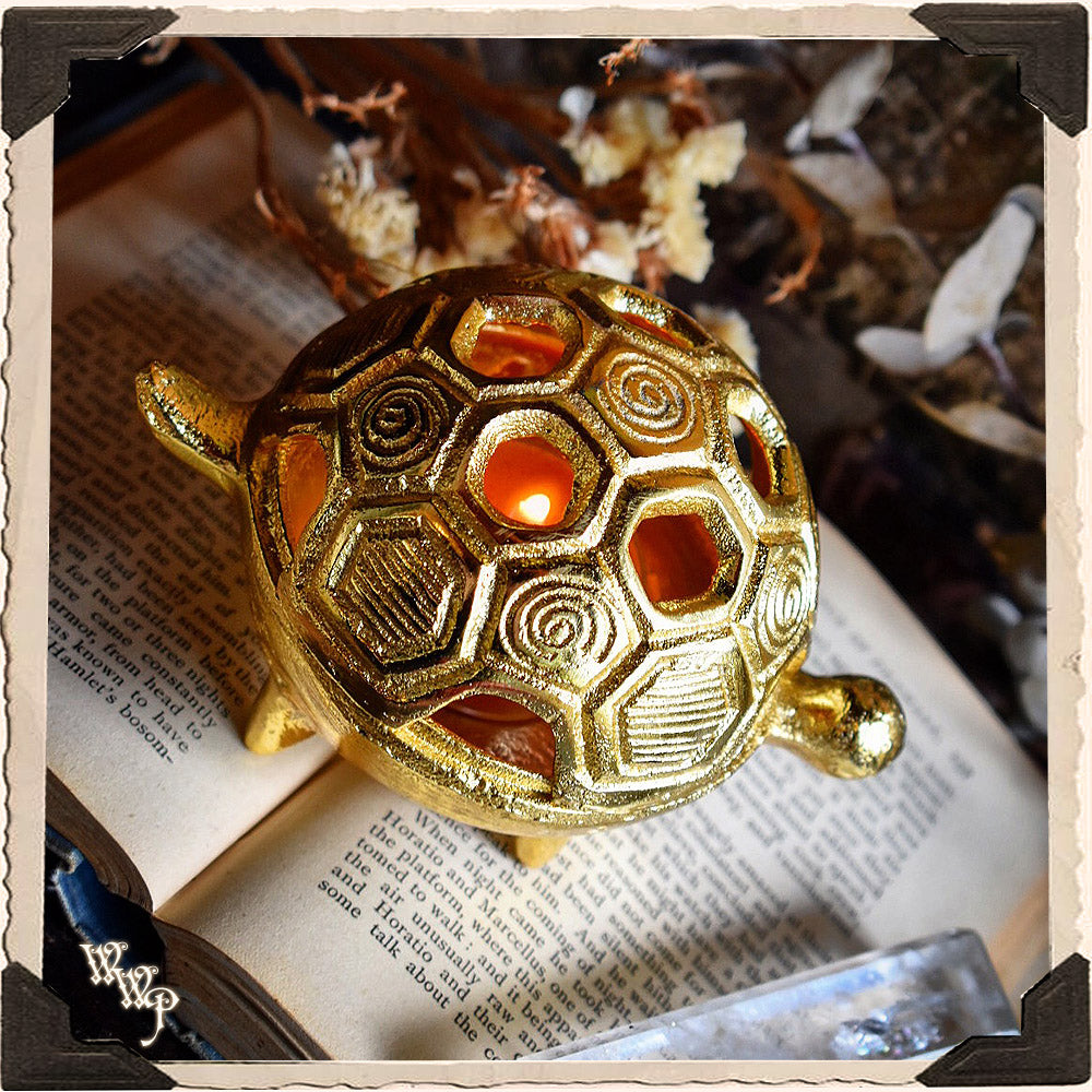 BRASS TURTLE. Altar Decor For Earth Connection, Slowing down & Determi ...