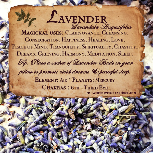 LAVENDER BUDS APOTHECARY. Dried Herbs. For Relaxation, Divination, Med ...