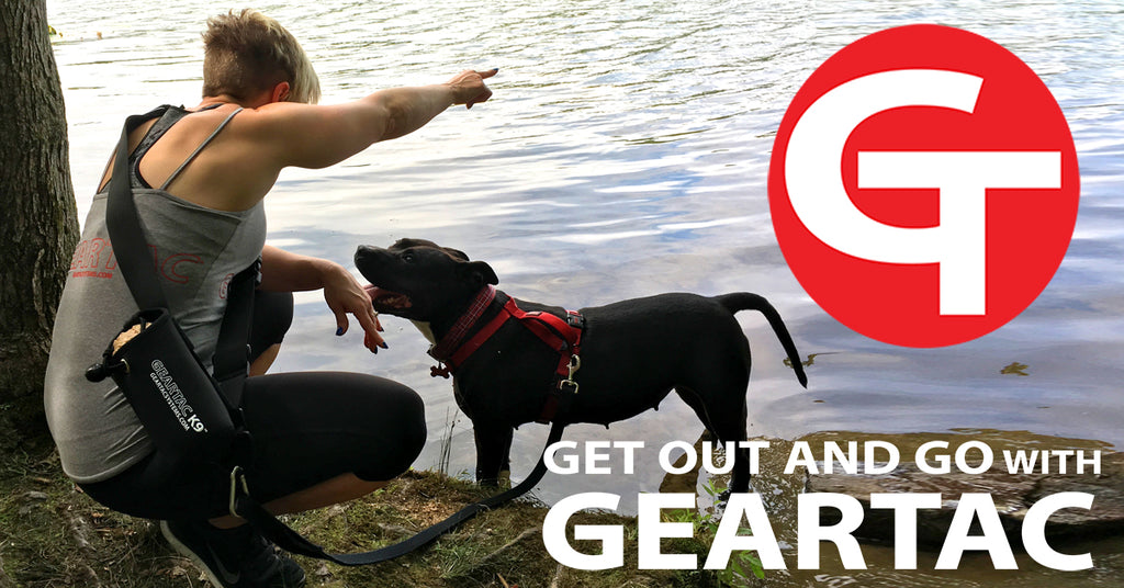 geartac k9 hands free dog walking device