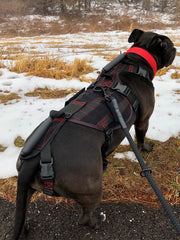 service dog vest with rear hip carrier