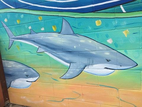 seacliff village park mural artist santa cruz california sharks