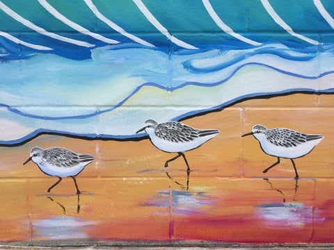 seacliff village park mural artist santa cruz california sandpipers