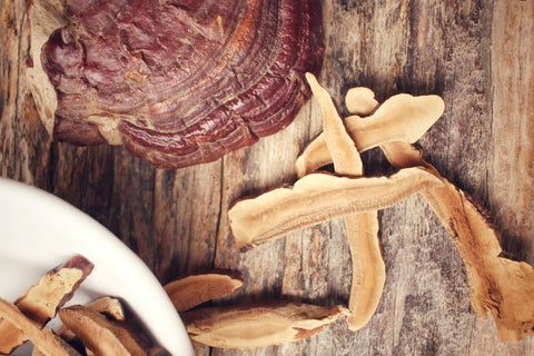 Reishi mushroom adaptogen