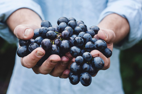 man holding a bundle of grapes