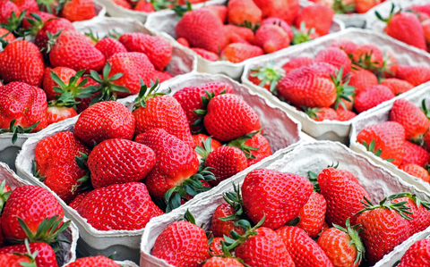 cartes of ripe strawberries