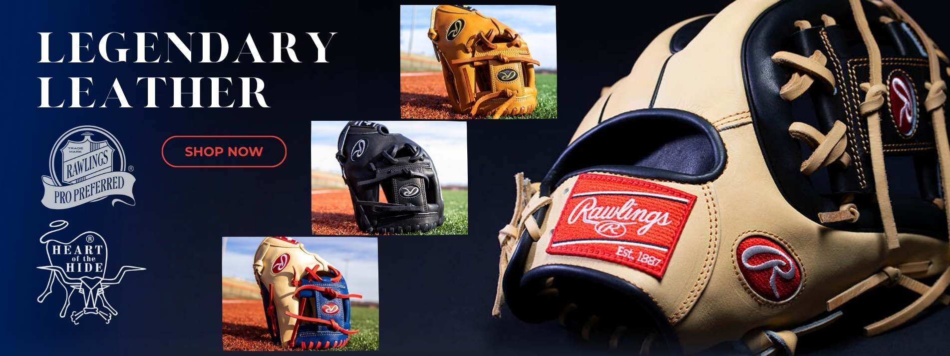 Rawlings