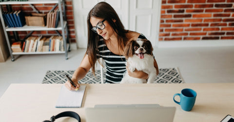 WalaBlog: Trabajo Desde Casa: Una Oportunidad para Conectar con tu Mascota