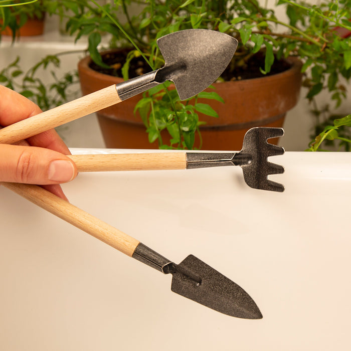 pakket apotheker Motel Mini Garden Tool Set - For Indoor And Small Plant Gardening — Kikkerland B.V