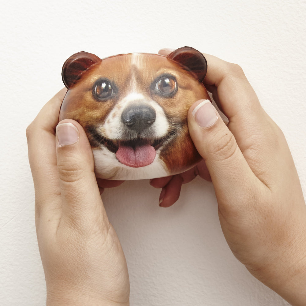 dog stress ball