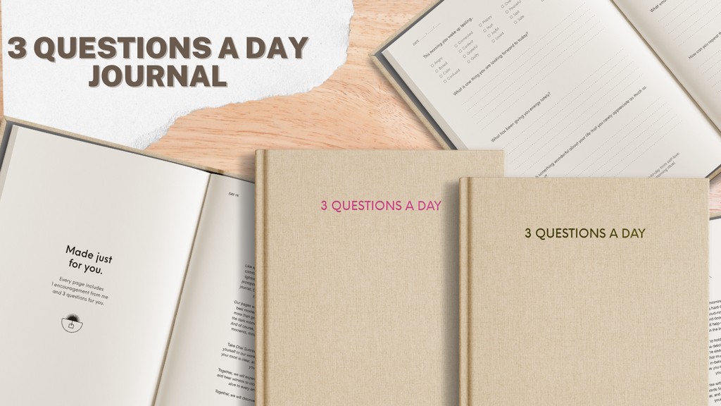 3 Questions a Day Journal