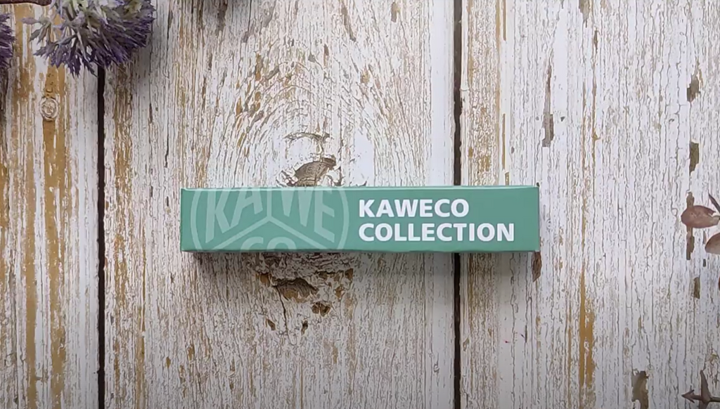 Kaweco Collection Fountain Pen Smooth Sage Cardboard Box