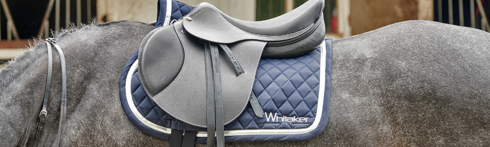 John Whitaker Saddle Cloth and Saddle